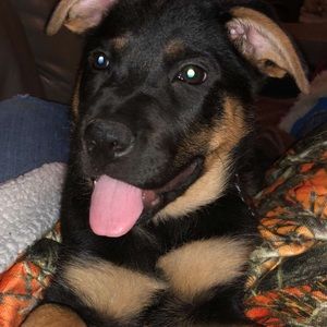 Meet your Posher, Billy